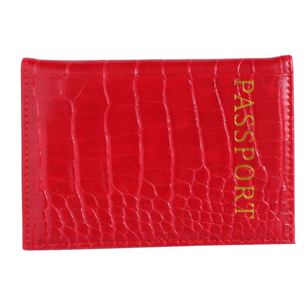 Modischer Reisepasshalter mit  – Travel Accessories Plane Bewertung und Preis
