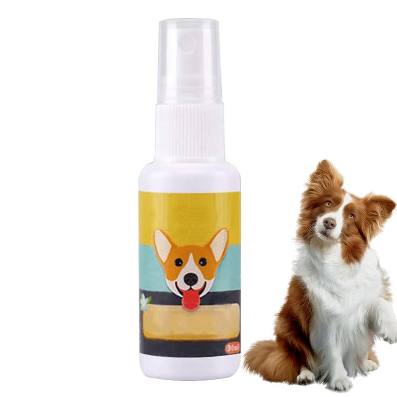 1 Stück Hund Töpfchen Zug Spra – Travel Accessories In Train Bewertung und Preis